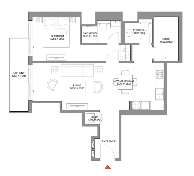 1 bedroom layout